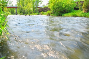 フェイシャルイメージ